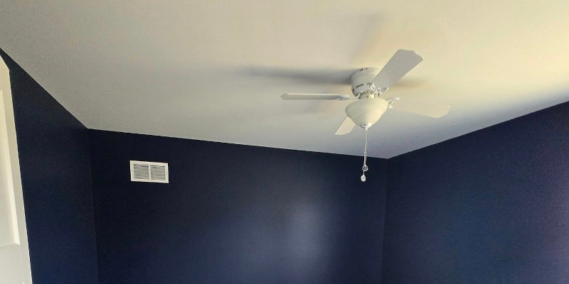 Mold Solutions in Kankakee County, Illinois